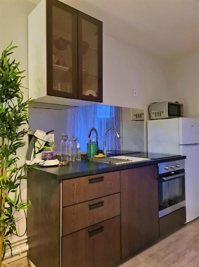 Grand Studio Lyon Villeurbanne Proche Metro - Wifi Dış mekan fotoğraf
